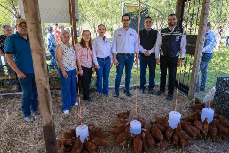 Huevos que mueven a Santiago CRIA le da power a los productores y negocios locales