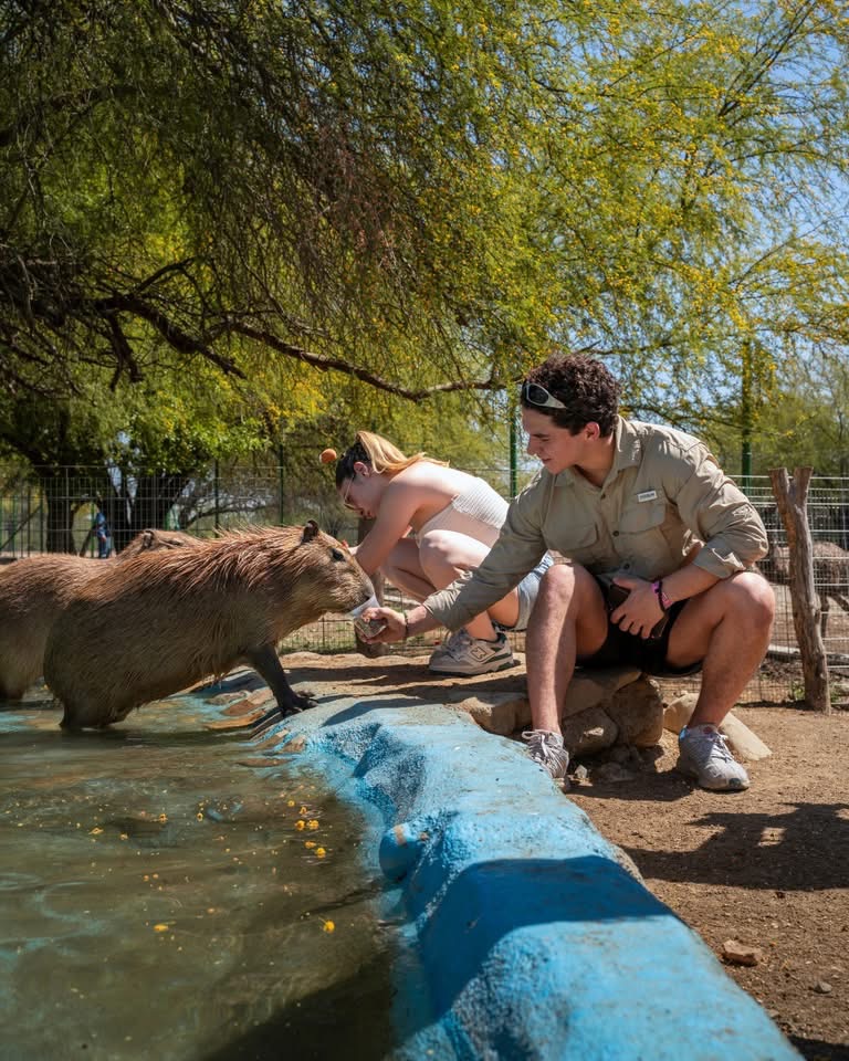 Pueblo Salvaje invita a convivir con animales, hacer carne asada y recorrer su autosafari